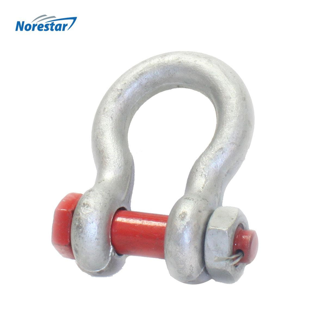 Forged Anchor Shackle, Bolt-Type